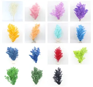 Preserved asparagus fern dried flowers for DIY gift box glass cover floral arrangements