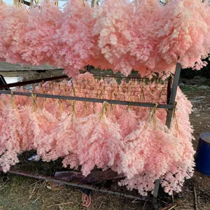 Detail view of bulk pink preserved asparagus fern foliage drying on rack for DIY flower crafts.