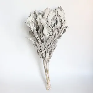 Dried silver ragwort flower bunch detail, perfect for wedding decor and floral arrangement.