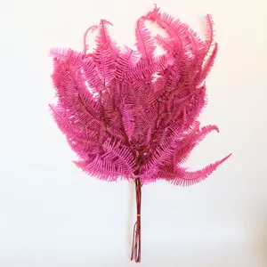 Foglie di felce preservate rosa vivo per composizioni floreali e decorazioni per la casa.