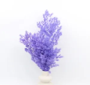 Detailed view of vibrant purple preserved asparagus fern flower, ideal for DIY crafts and decor.