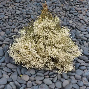 Detailed view of white preserved baby's breath dried flowers arranged on natural pebble surface.