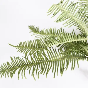 Natural dried fern leaves for floral arrangement, DIY craft and home decor, realistic green plant.