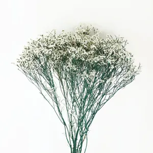 Natural preserved crystal grass bouquet dried flowers for home decor and photography props.