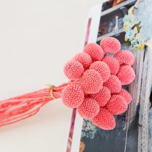 Pink dried craspedia flower bouquet billy balls for DIY home decor and creative gifts.