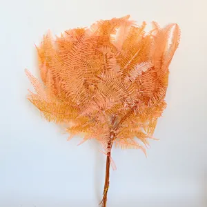 Rami di felce arancione conservati per composizioni floreali decorazione domestica piante essiccate