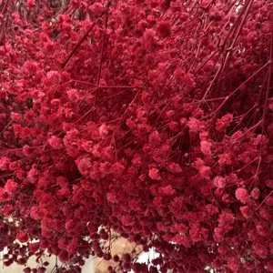 Close-up of red preserved baby's breath dried flowers, ideal for floral decor and gifts.