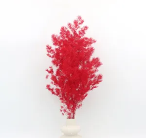 Red preserved asparagus fern detail view, ideal for DIY floral crafts and glass dome decor.