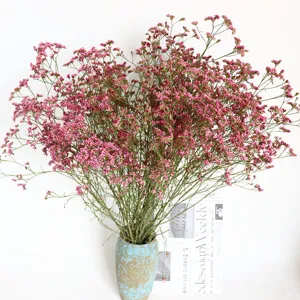 Preserved crystal grass dried flower bouquet home decor flower arrangement photography props
