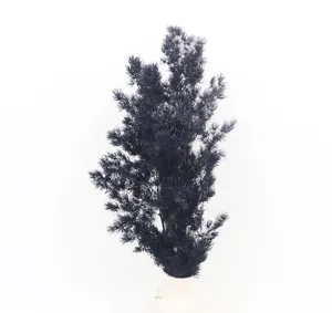 Preserved black asparagus fern for DIY gift box glass cover flower arrangement floral decor.