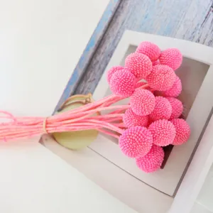 Preserved pink craspedia dried flower bouquet for DIY home decoration and creative gifts.