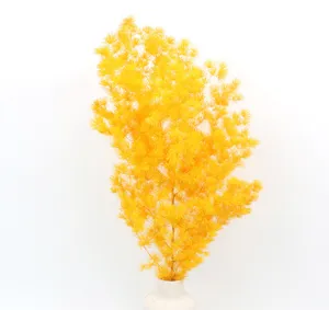 Detailed shot of vibrant yellow preserved asparagus fern in a white vase, ideal for DIY crafts.