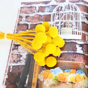 Yellow billy balls dried flower bouquet detail view, ideal for home decor and DIY crafts.