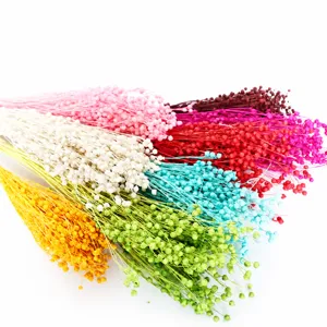 Natural Dried Flowers Dried Beans Branch Bunch For Home Decor Floral Arrangement Wedding Party Craft Supplies