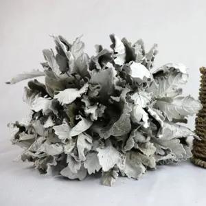 Natural dried silver ragwort flower bunch for bouquet floral arrangement and wedding decor setup.