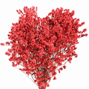 Red dried crystal grass bouquet for home decor, flower arrangement and photography props.