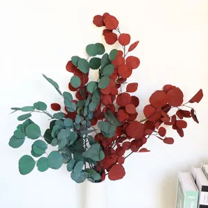 Nordic preserved eucalyptus round-leaf flower bouquet for indoor home decoration and green plants.