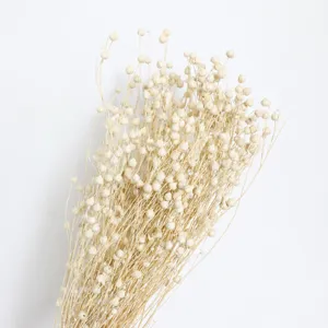 Natural dried flax flower bouquet decoration home decor handmade floral arrangement plant