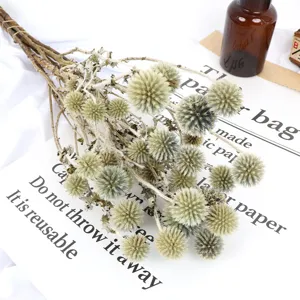 Bouquet di Fiori di Cardo Globo Secchi Naturali Fiori di Echinops Secchi Rustici per Decorazione di Composizioni Floreali per Matrimoni a Casa