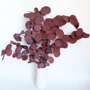 Nordic dried round eucalyptus leaves bouquet with white ceramic vase for home decor.