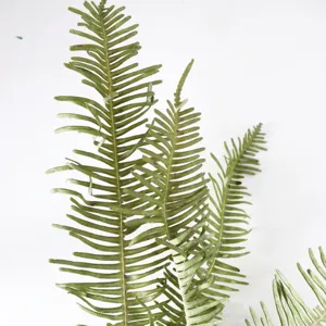 Natural dried fern leaves for floral arrangement and DIY crafts, front view display.