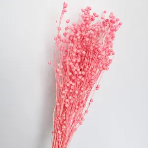 Pink dried flowers natural flax botanical bouquet for home decor floral arrangement craft supplies
