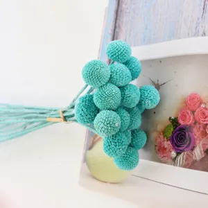 Close up view of teal preserved billy ball dried flowers bouquet detail for creative decor.