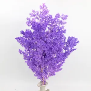 Preserved purple asparagus fern dried flowers for DIY gift box floral arrangements and crafts.