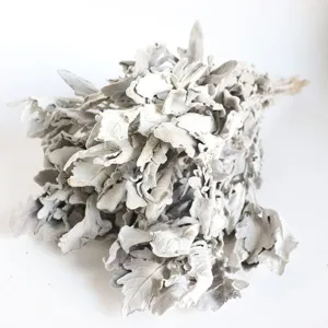 Natural dried silver leaf flower bunch bouquet for wedding home decor and photo props