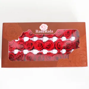 Geconserveerde rode rozen geschenkdoos DIY bloemarrangemint eeuwig durende rozen in vensterdoos.