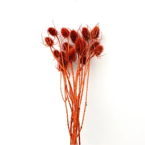 Bouquet di fiori secchi naturali terracotta composizione floreale decorativa per vetro.