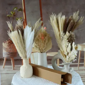 Bouquet di erba pampas secca naturale con vasi in ceramica per la decorazione della casa.