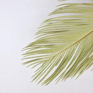 Dried cycad leaves palm leaves for wedding home decor floral arrangement natural plant 1pc