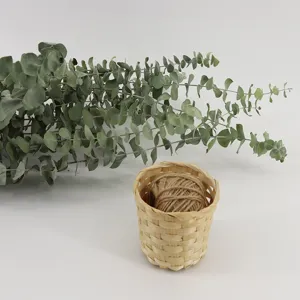 Natural dried eucalyptus leaves branches for home decor, floral arrangements and hotel displays.