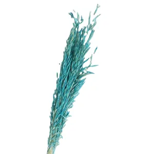 Blue dried oat grass bouquet natural wheat ears for modern home decor and photo props.