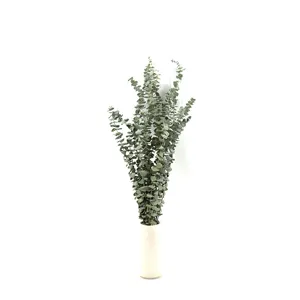 Detail view of natural dried eucalyptus leaves in a white vase, perfect for home decor.