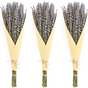 Natural dried lavender flower bouquets wrapped in brown kraft paper for decor and props.