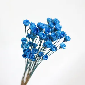 Blue dried star flowers for home decor, DIY craft, aromatherapy floats and floral arrangement supplies.
