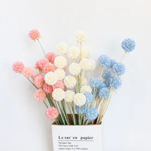 Preserved Scabiosa Windmill Flowers Dried Flower Bouquet Natural Botanical Floral Home Decor DIY Flower Gift