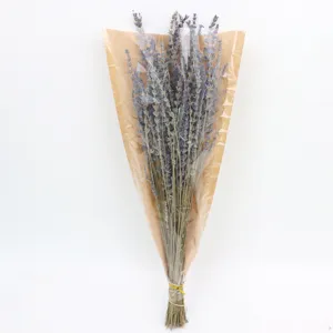 Natural dried lavender bouquet in craft paper wrap, purple floral decor and photography prop.