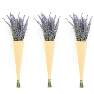 Natural dried lavender flower bouquet purple lavender home decor photography props set of 3