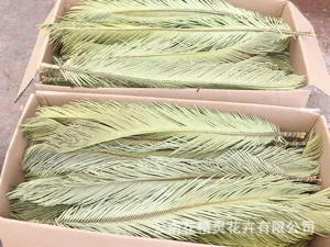 Detail view of dried cycad leaves packed in boxes, perfect for modern wedding and home decor.