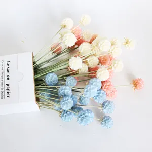 Preserved Scabiosa dried flowers bouquet colorful floral arrangement for home decor.