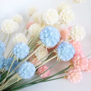Preserved Scabiosa dried flowers bouquet colorful floral material for home decor gift box DIY crafting