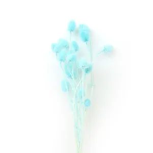 Fiori secchi azzurri steli botanici soffici arredamento casa naturale composizione floreale