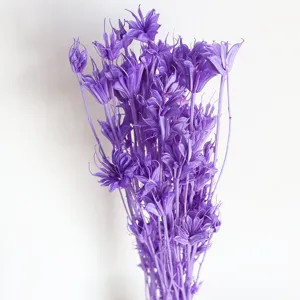 Purple dried star flowers bouquet natural plant floral decor for home photography props
