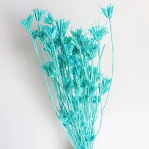 Blue dried star anise flowers bouquet, natural botanical home decor photography props.