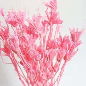 Pink dried star anise flowers natural handmade artistic plant decor for photo props main view