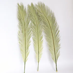 Natural Dried Palm Leaves Dried Flowers Branch For Wedding Home Decor Boho Floral Arrangement Natural Plant Home Decoration