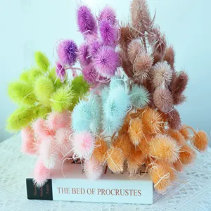 Mazzo di Fiori Secchi di Frutto della Fortuna Preservato Naturale Per Arredamento Aromaterapia Copertura in Vetro Artigianato Composizione Floreale DIY